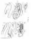 Fig. 03 - Can opener