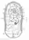 Fig. 09 - Can opener