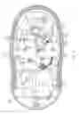 Fig. 12 - Can opener