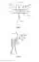 Fig. 09 - Beverage extractor for sparkling beverages