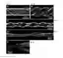 Fig. 04 - Fabrication and application of nanofiber ribbons and sheets and twisted and non-twisted nanofiber yarns