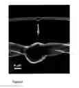 Fig. 07 - Fabrication and application of nanofiber ribbons and sheets and twisted and non-twisted nanofiber yarns