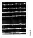 Fig. 43 - Fabrication and application of nanofiber ribbons and sheets and twisted and non-twisted nanofiber yarns