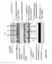 Fig. 90 - Fabrication and application of nanofiber ribbons and sheets and twisted and non-twisted nanofiber yarns