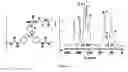 Fig. 05 - Flexible to rigid nanoporous polyurethane-acrylate (PUAC) type materials for structural and thermal insulation applications