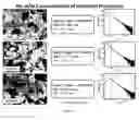 Fig. 13 - Flexible to rigid nanoporous polyurethane-acrylate (PUAC) type materials for structural and thermal insulation applications