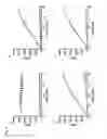 Fig. 04 - Composition for the modulation of the activity of non-structure proteins