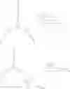 Fig. 32 - Linker molecule for multiplex recognition by atomic force microscopy (AFM)