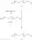 Fig. 44 - Linker molecule for multiplex recognition by atomic force microscopy (AFM)