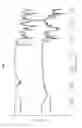 Fig. 07 - Polybenzoxazine precursor and method for preparing same