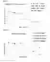 Fig. 09 - Ribonucleotide reductase inhibitors and methods of use
