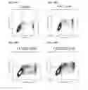 Fig. 12 - Ribonucleotide reductase inhibitors and methods of use