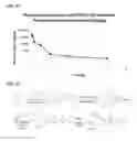 Fig. 23 - Ribonucleotide reductase inhibitors and methods of use
