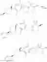 Fig. 48 - Aryl sultam derivatives as RORc modulators