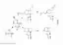 Fig. 09 - Amine cationic lipids and uses thereof