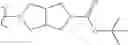 Fig. 166 - Compositions and methods for inhibition of the JAK pathway