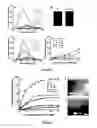Fig. 03 - Small molecular probes, processes and use thereof