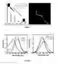 Fig. 06 - Small molecular probes, processes and use thereof