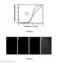 Fig. 10 - Small molecular probes, processes and use thereof