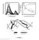 Fig. 12 - Small molecular probes, processes and use thereof