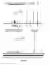 Fig. 13 - Small molecular probes, processes and use thereof