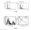 Fig. 17 - Small molecular probes, processes and use thereof