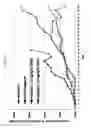 Fig. 02 - Nuclear Transport Modulators And Uses Thereof