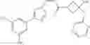 Fig. 124 - Nuclear Transport Modulators And Uses Thereof