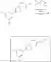 Fig. 201 - Nuclear Transport Modulators And Uses Thereof