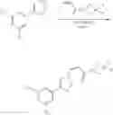 Fig. 210 - Nuclear Transport Modulators And Uses Thereof