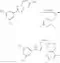 Fig. 255 - Nuclear Transport Modulators And Uses Thereof