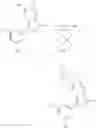 Fig. 258 - Nuclear Transport Modulators And Uses Thereof