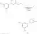 Fig. 261 - Nuclear Transport Modulators And Uses Thereof