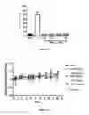 Fig. 20 - MOLECULAR CONTAINERS AND METHODS OF MAKING AND USING SAME