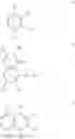 Fig. 33 - MOLECULAR CONTAINERS AND METHODS OF MAKING AND USING SAME