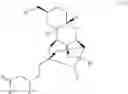 Fig. 53 - Synthesis of halichondrin analogs and uses thereof