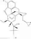 Fig. 23 - Boron-based prodrug strategy for increased bioavailability and lower-dosage requirements for drug molecules containing at least one phenol (or aromatic hydroxyl) group