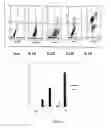 Fig. 03 - Cationic lipid cordiarimide hybrid compounds and a process for preparation thereof