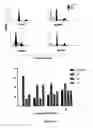 Fig. 04 - Cationic lipid cordiarimide hybrid compounds and a process for preparation thereof