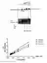 Fig. 08 - Cationic lipid cordiarimide hybrid compounds and a process for preparation thereof
