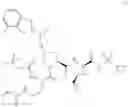 Fig. 442 - HCV PROTEASE INHIBITORS AND USES THEREOF