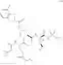 Fig. 487 - HCV PROTEASE INHIBITORS AND USES THEREOF