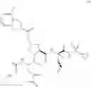 Fig. 488 - HCV PROTEASE INHIBITORS AND USES THEREOF