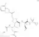 Fig. 489 - HCV PROTEASE INHIBITORS AND USES THEREOF