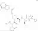 Fig. 503 - HCV PROTEASE INHIBITORS AND USES THEREOF