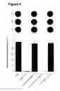 Fig. 09 - Antibody, epitope tag and method for detection, capture and/or purification of tagged polypeptides