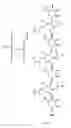 Fig. 05 - C6S specific transporter molecules