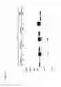 Fig. 13 - Epitope tag and method for detection and/or purification of tagged polypeptides