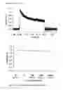 Fig. 05 - Kv1.3 potassium channel antagonists
