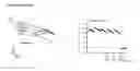 Fig. 13 - Kv1.3 potassium channel antagonists